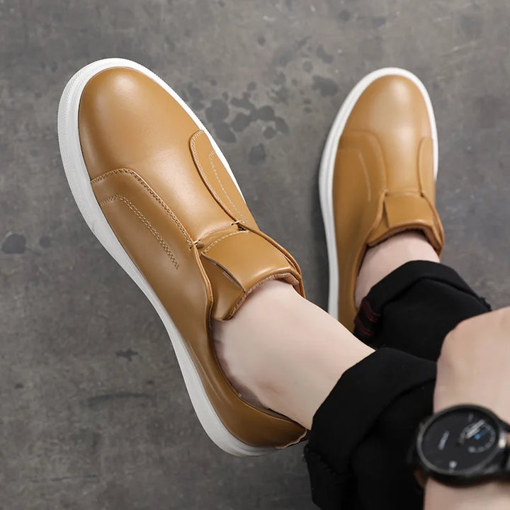 Hastings Trainer