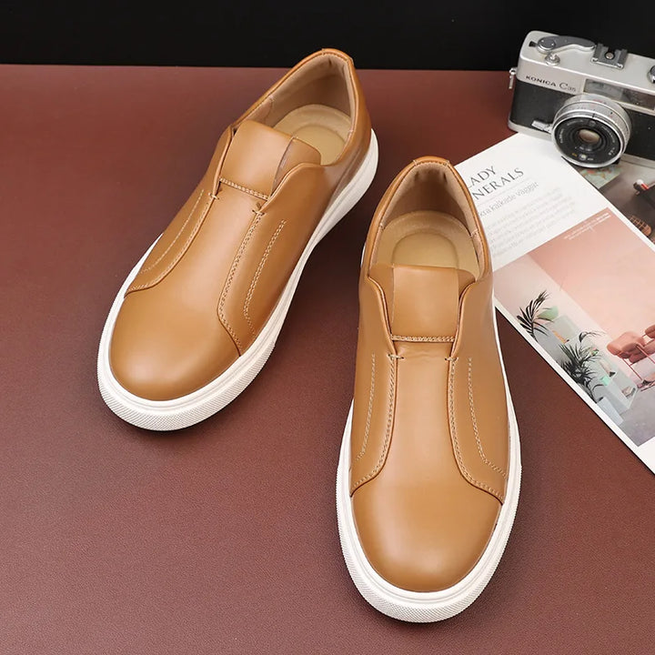 Hastings Trainer