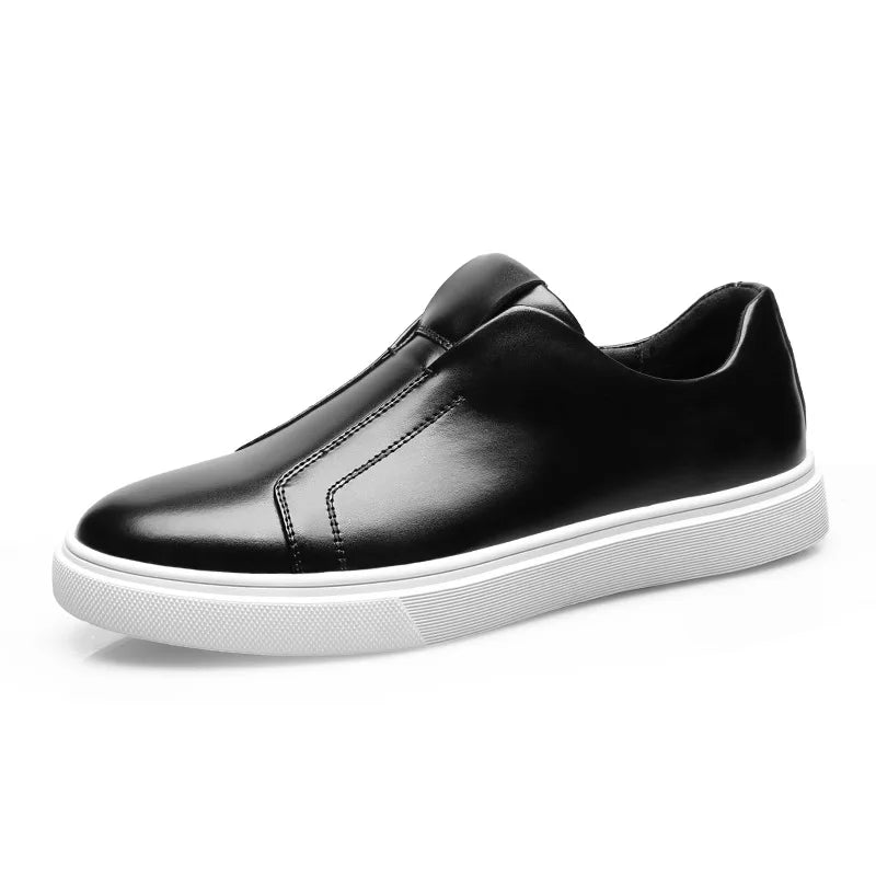 Hastings Trainer