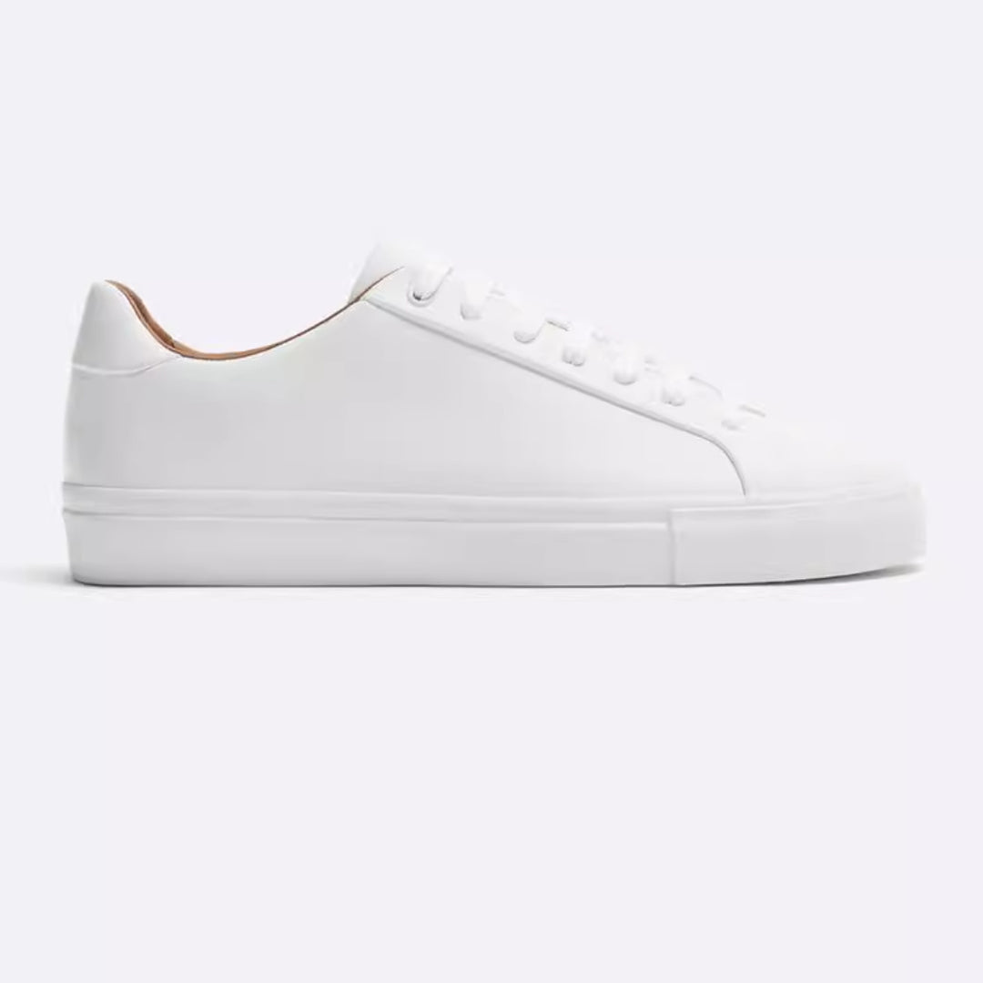 Monotone lows