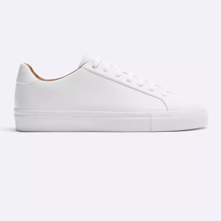Monotone lows